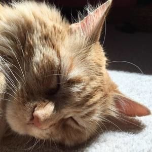 Meet your Posher, Christine